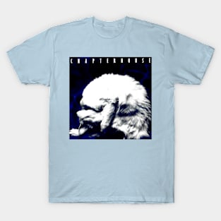 Whirlpool 1991 Design T-Shirt